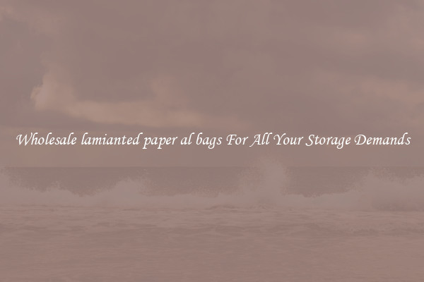 Wholesale lamianted paper al bags For All Your Storage Demands
