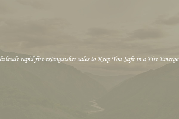 Wholesale rapid fire extinguisher sales to Keep You Safe in a Fire Emergency