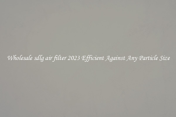 Wholesale sdlg air filter 2023 Efficient Against Any Particle Size