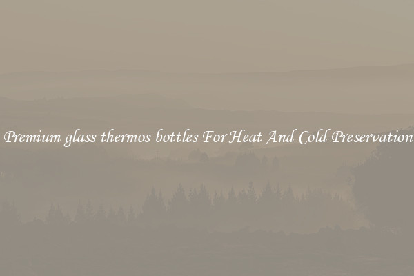 Premium glass thermos bottles For Heat And Cold Preservation