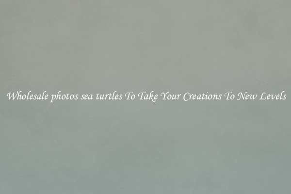 Wholesale photos sea turtles To Take Your Creations To New Levels