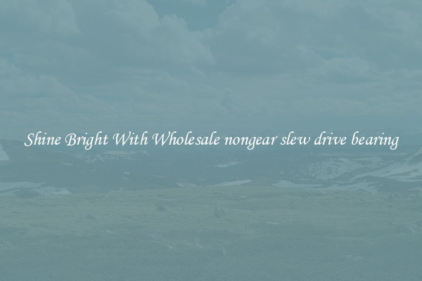Shine Bright With Wholesale nongear slew drive bearing