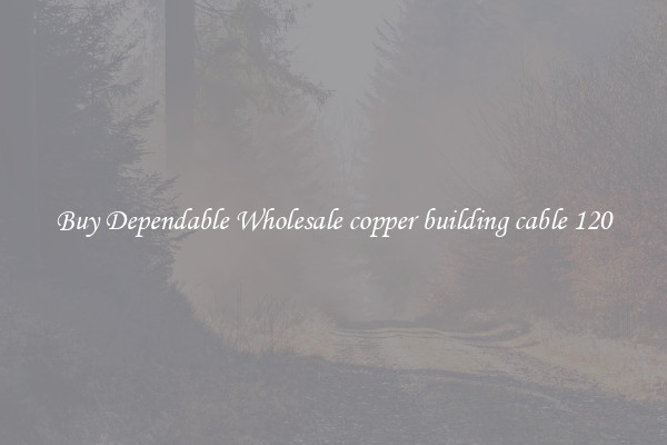 Buy Dependable Wholesale copper building cable 120