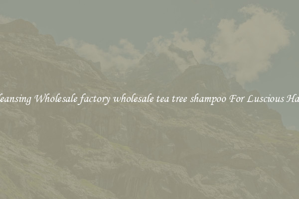 Cleansing Wholesale factory wholesale tea tree shampoo For Luscious Hair.