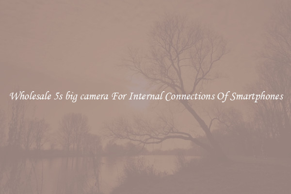 Wholesale 5s big camera For Internal Connections Of Smartphones