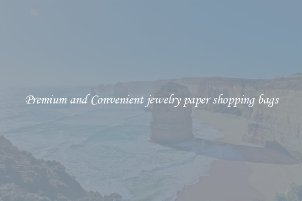 Premium and Convenient jewelry paper shopping bags