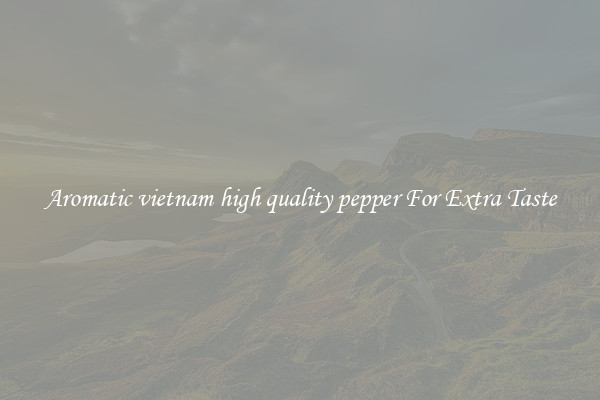 Aromatic vietnam high quality pepper For Extra Taste
