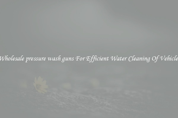 Wholesale pressure wash guns For Efficient Water Cleaning Of Vehicles