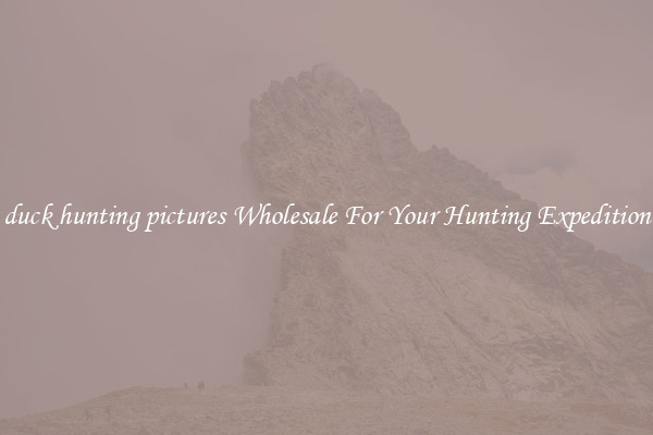 duck hunting pictures Wholesale For Your Hunting Expedition