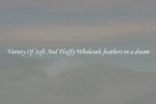 Variety Of Soft And Fluffy Wholesale feathers in a dream