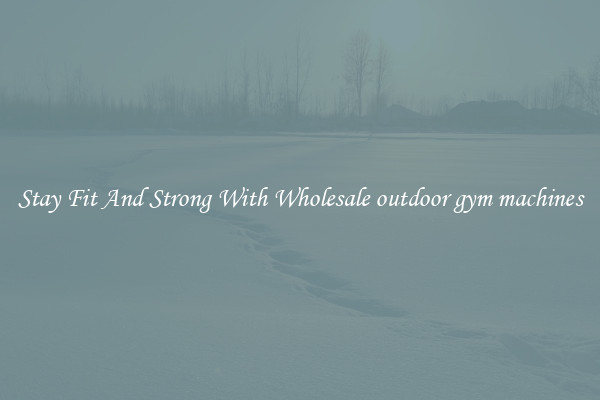 Stay Fit And Strong With Wholesale outdoor gym machines