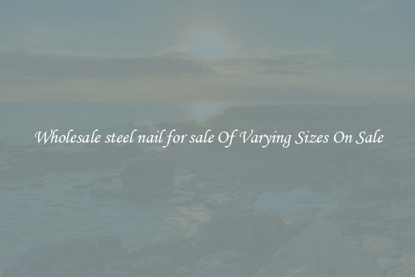 Wholesale steel nail for sale Of Varying Sizes On Sale