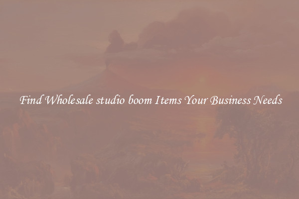 Find Wholesale studio boom Items Your Business Needs