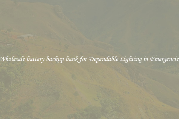 Wholesale battery backup bank for Dependable Lighting in Emergencies