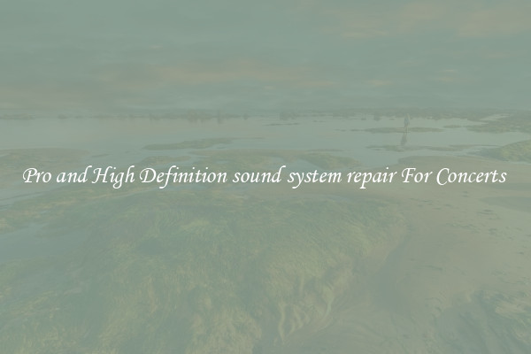 Pro and High Definition sound system repair For Concerts 