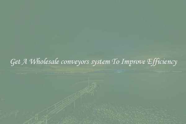Get A Wholesale conveyors system To Improve Efficiency