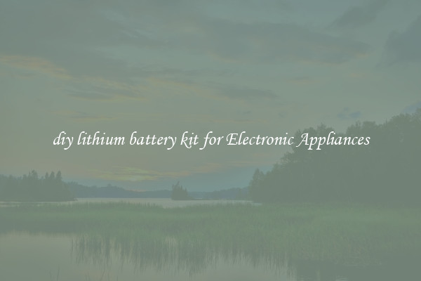 diy lithium battery kit for Electronic Appliances