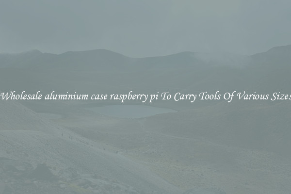 Wholesale aluminium case raspberry pi To Carry Tools Of Various Sizes