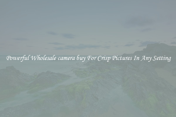 Powerful Wholesale camera buy For Crisp Pictures In Any Setting
