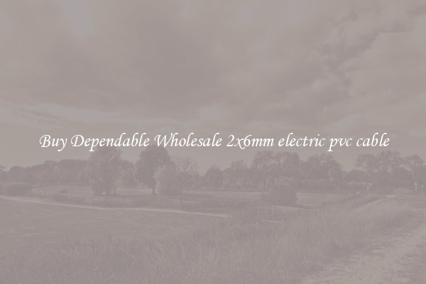 Buy Dependable Wholesale 2x6mm electric pvc cable