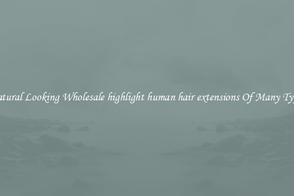 Natural Looking Wholesale highlight human hair extensions Of Many Types