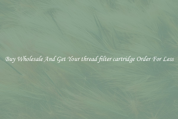Buy Wholesale And Get Your thread filter cartridge Order For Less